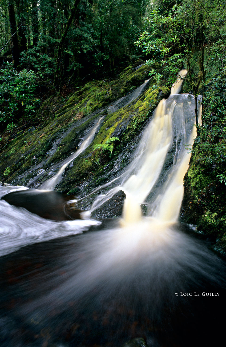 photograph of Secret fall in the Tarkine