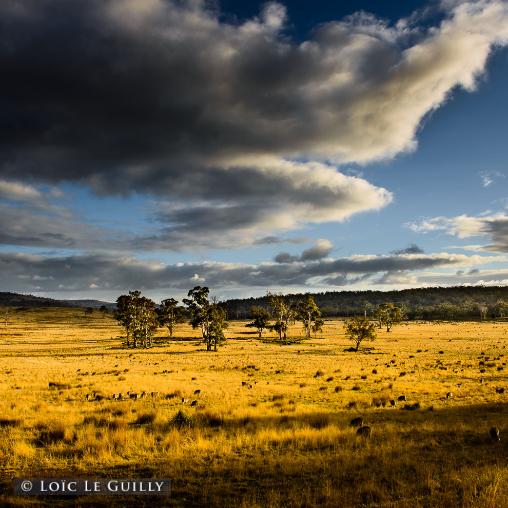 photograph of Countryside near Bothwell