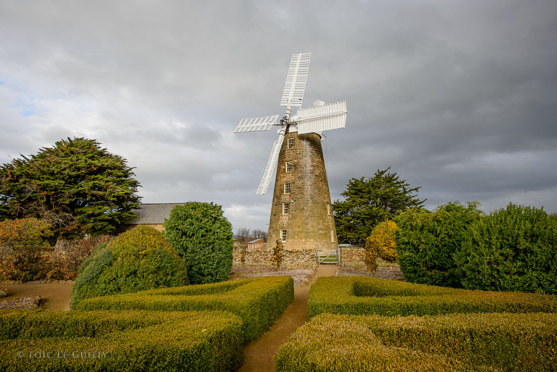 photograph of Callington Mill in Oatlands