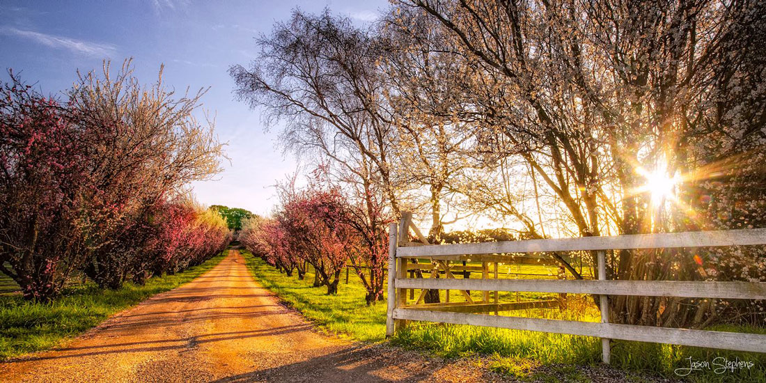 photograph of Evandale driveway