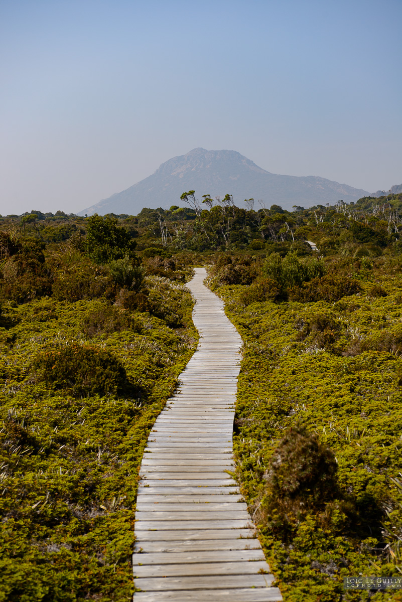 photograph of Track to Hartz Peak