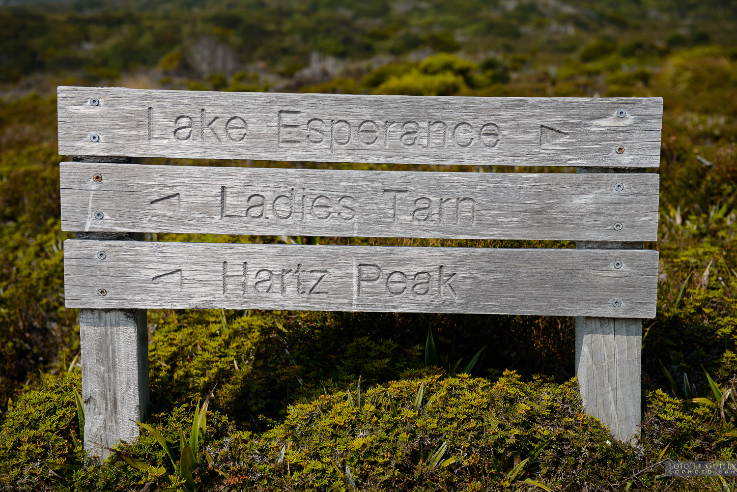 photograph of Track sign, Hartz Mountains