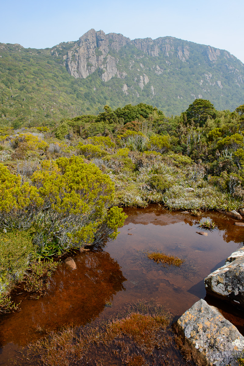 photograph of Tarn with Hartz Mountains in the background