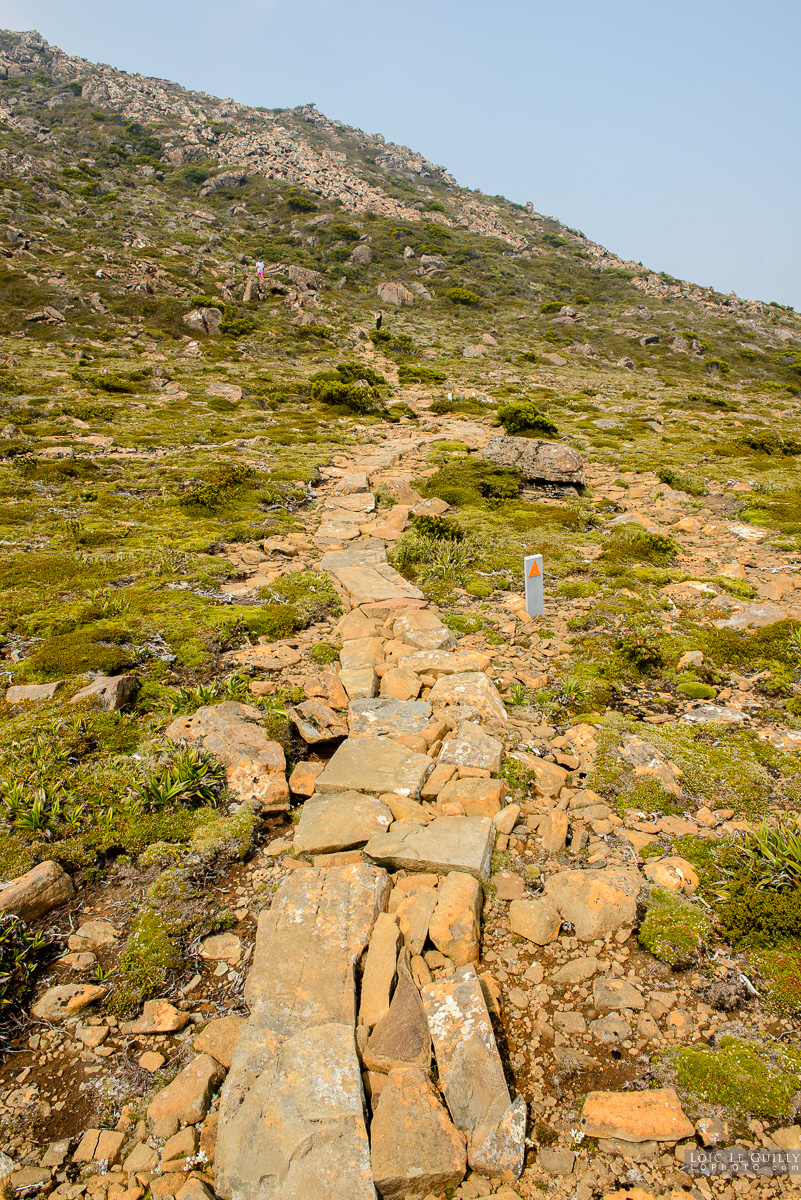 photograph of Track stone work, Hartz Mountains