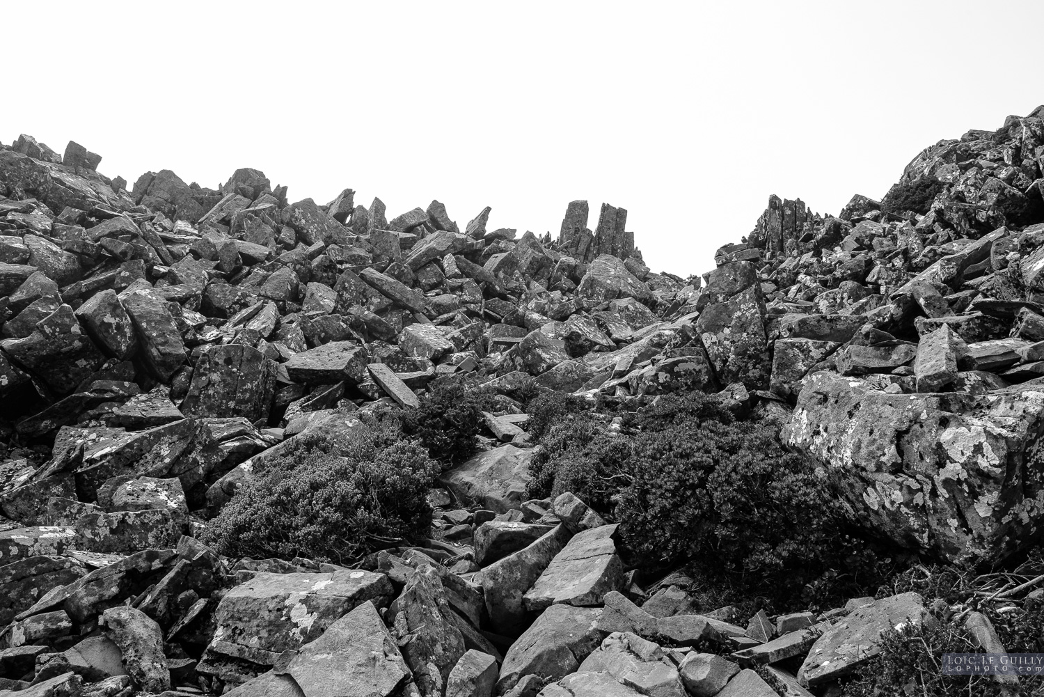 photograph of Hartz Mountains rocks
