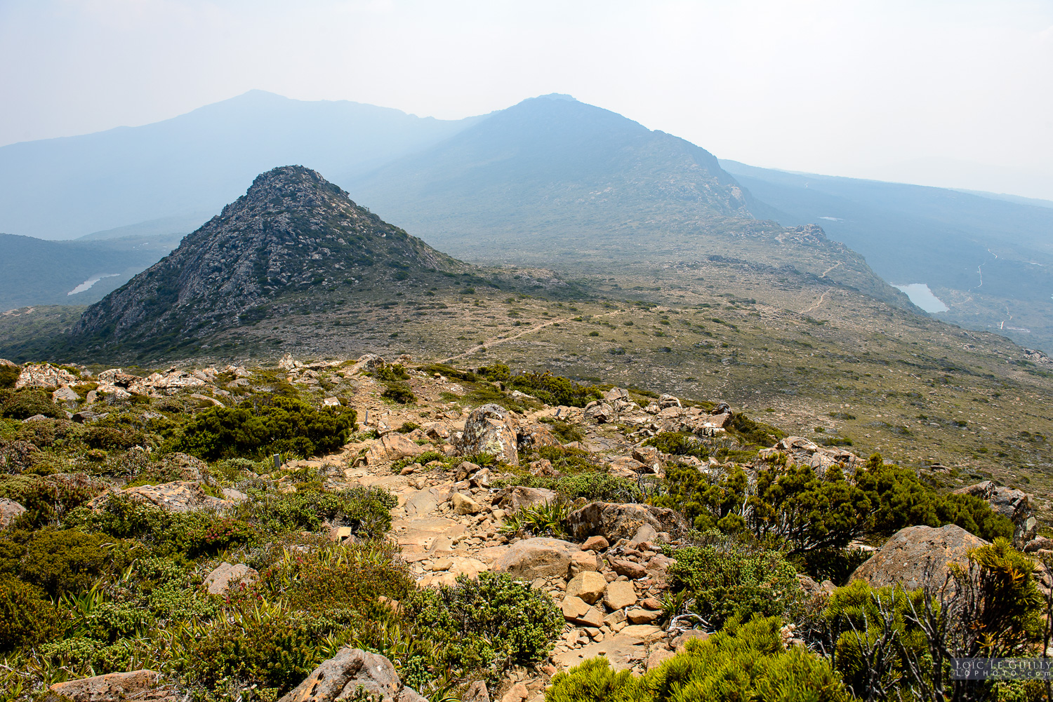 photograph of Hartz Mountains