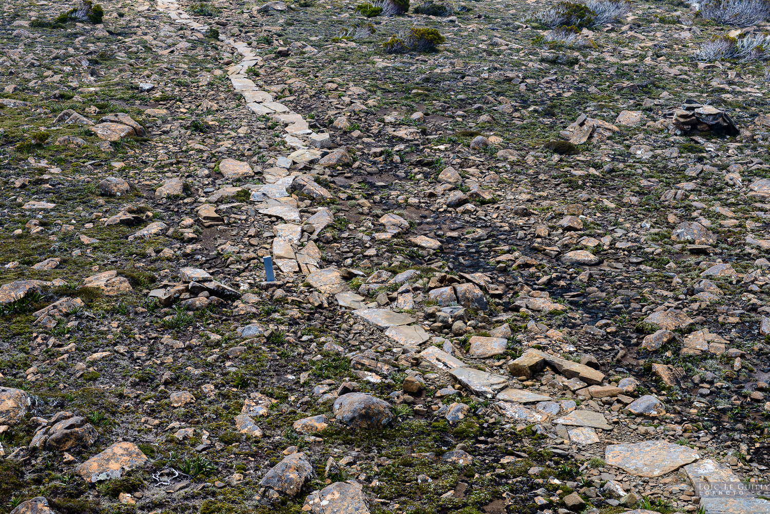 photograph of Track, Hartz Mountains