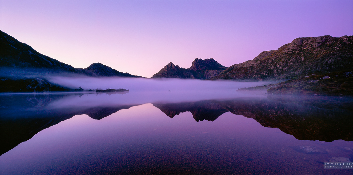 photograph of Dawn and fog at Cradle Mountain