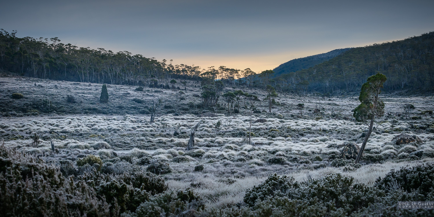 photograph of Frozen moorland