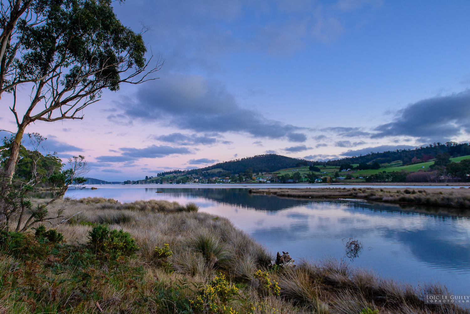 photograph of Quiet evening at Cygnet