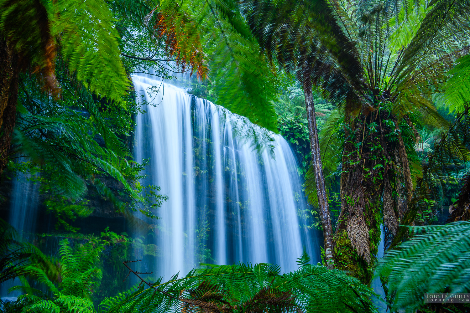 photograph of The mighty Russell Falls