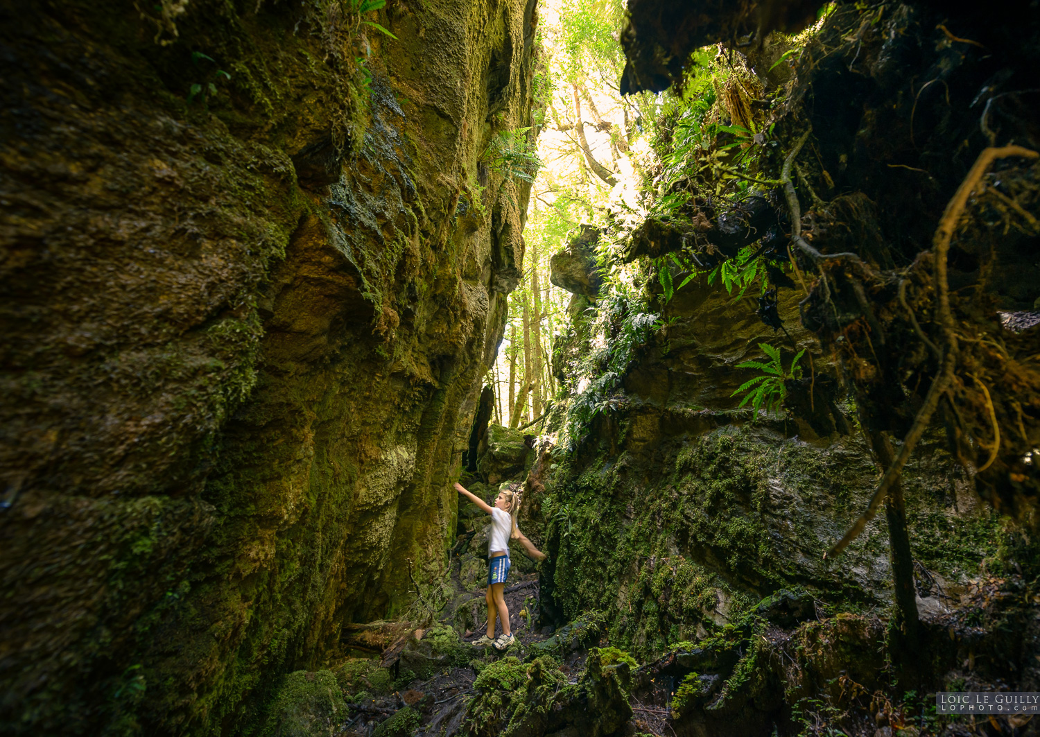 photograph of Getting lost in the forest