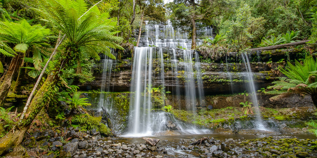 photograph of Russell Falls