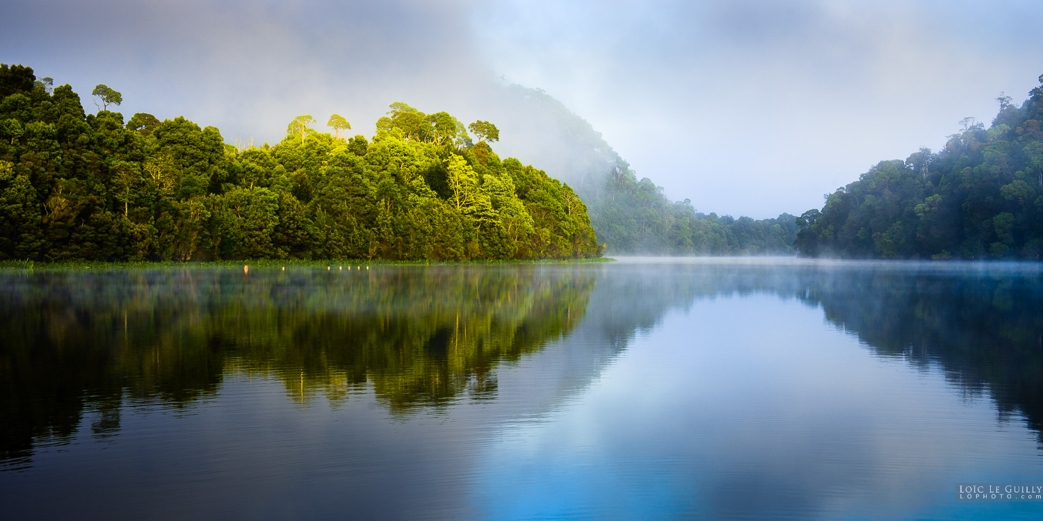 photograph of Early morning on the Pieman River, Tarkine