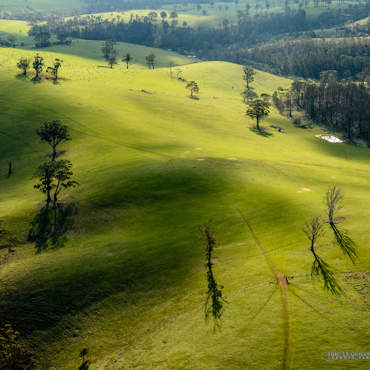 photograph of Farmland in southern Tasmania