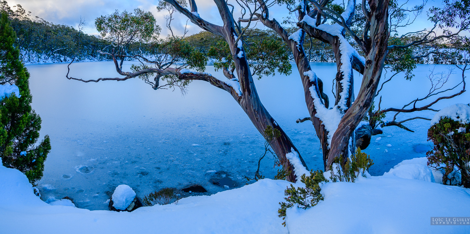 photograph of Lake Dobson in winter