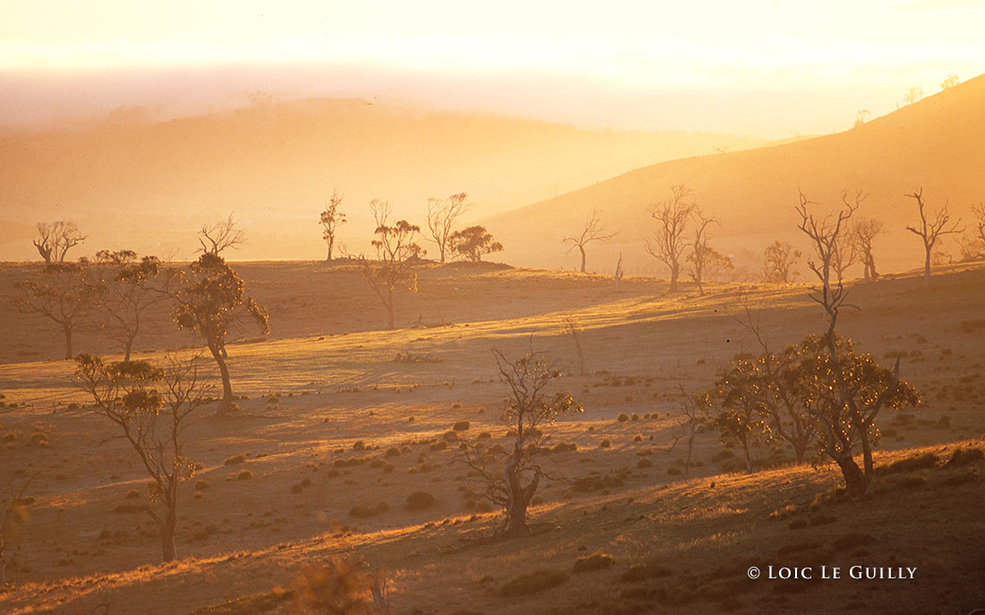 photograph of Sunrise in the Midlands