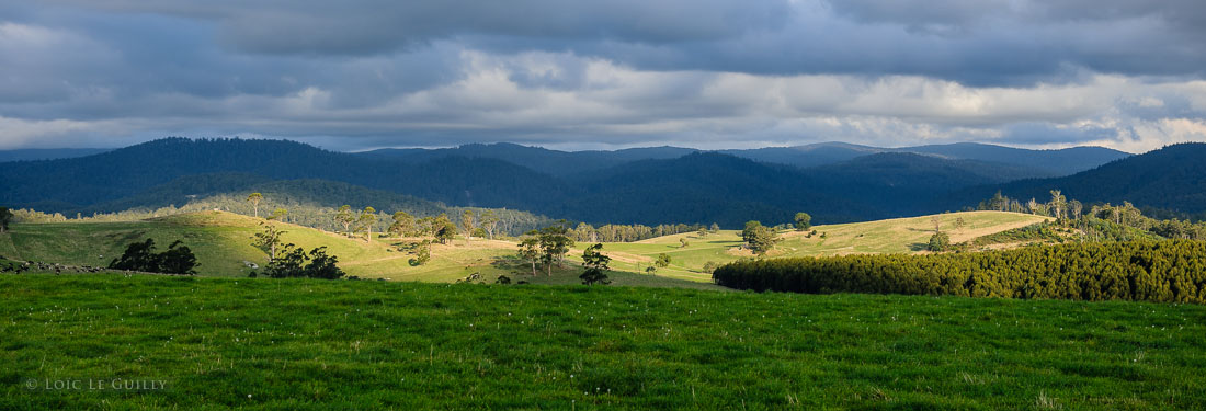 photograph of Countryside between Derby and Gladstone