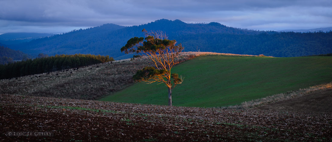 photograph of North-East-Tasmania-8020