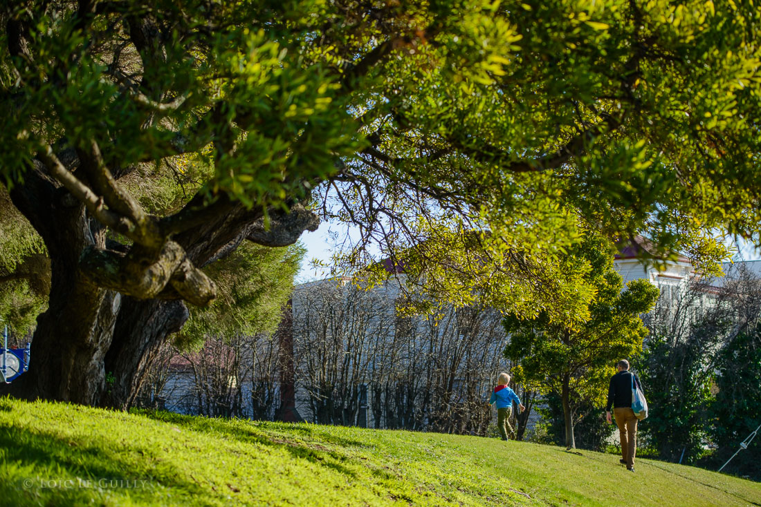 photograph of Park in West Hobart