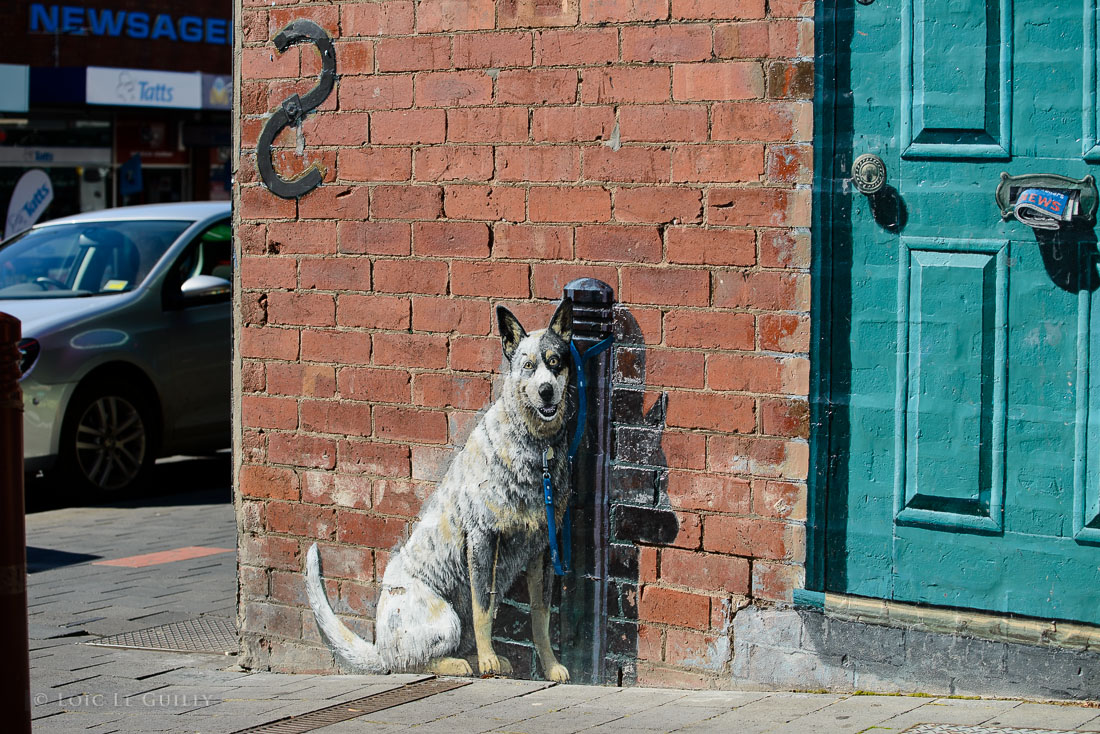 photograph of Trompe l'oeil in North Hobart