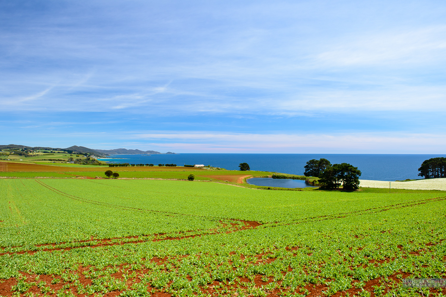 photograph of Northwest field with stunning water views