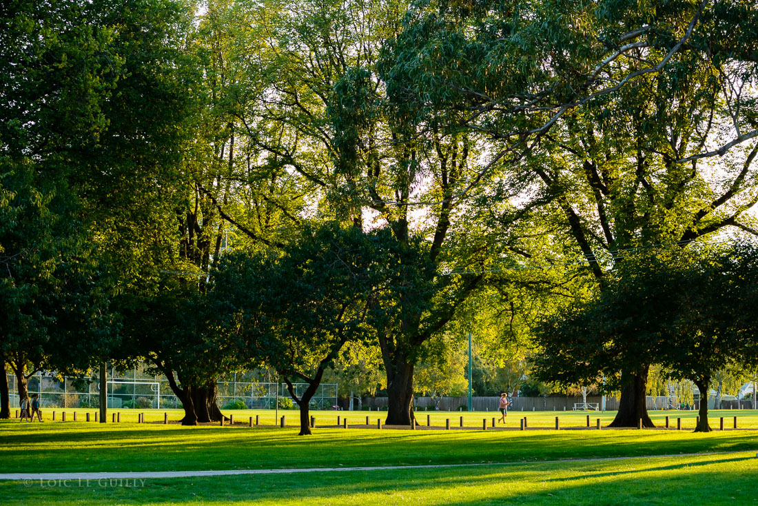 photograph of Sandy Bay park