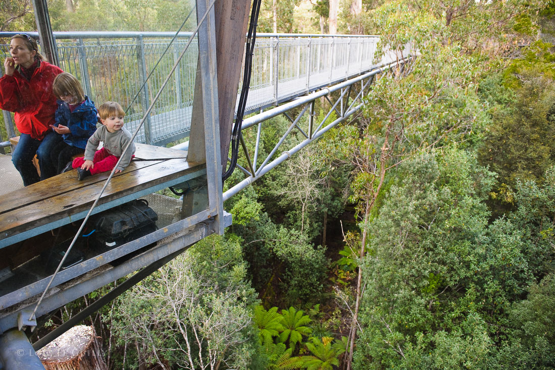 photograph of Tahune Airwalk