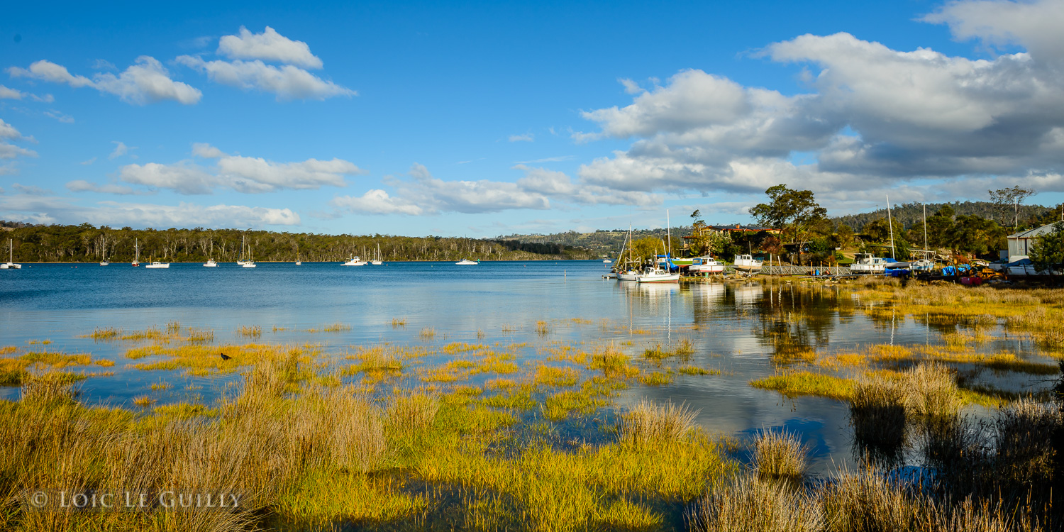 photograph of Tamar River