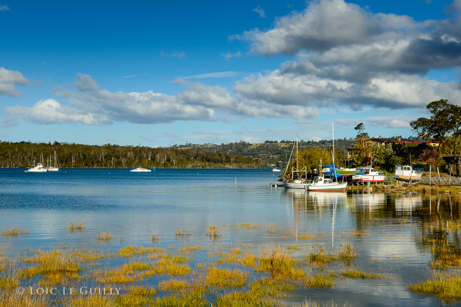 photograph of Tamar River