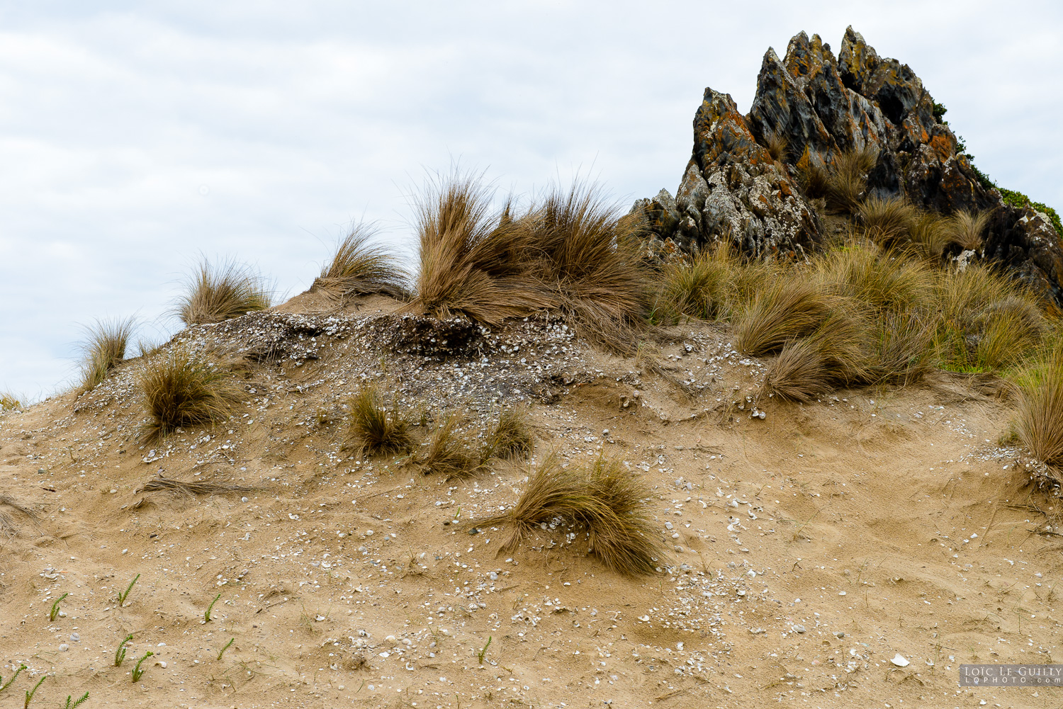 photograph of Aboriginal midden, Tarkine coast