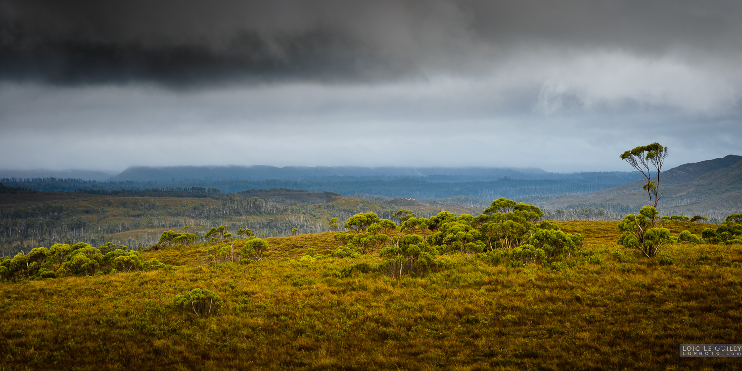 photograph of Moody weather over the Tarkine