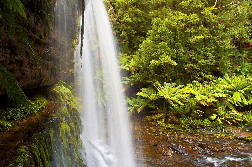 photograph of Russell Falls