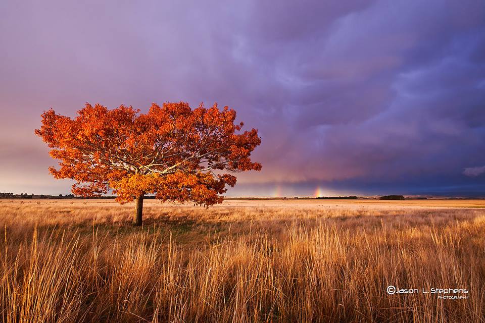 photograph of somewhere near Launceston...