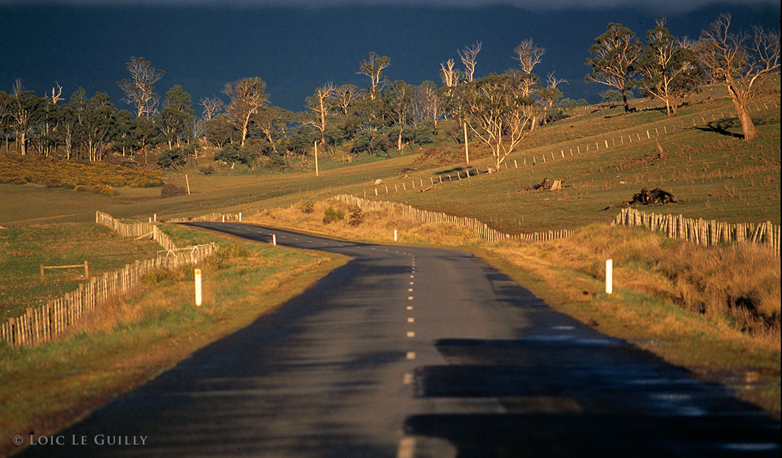 photograph of driving to Ben Lomond