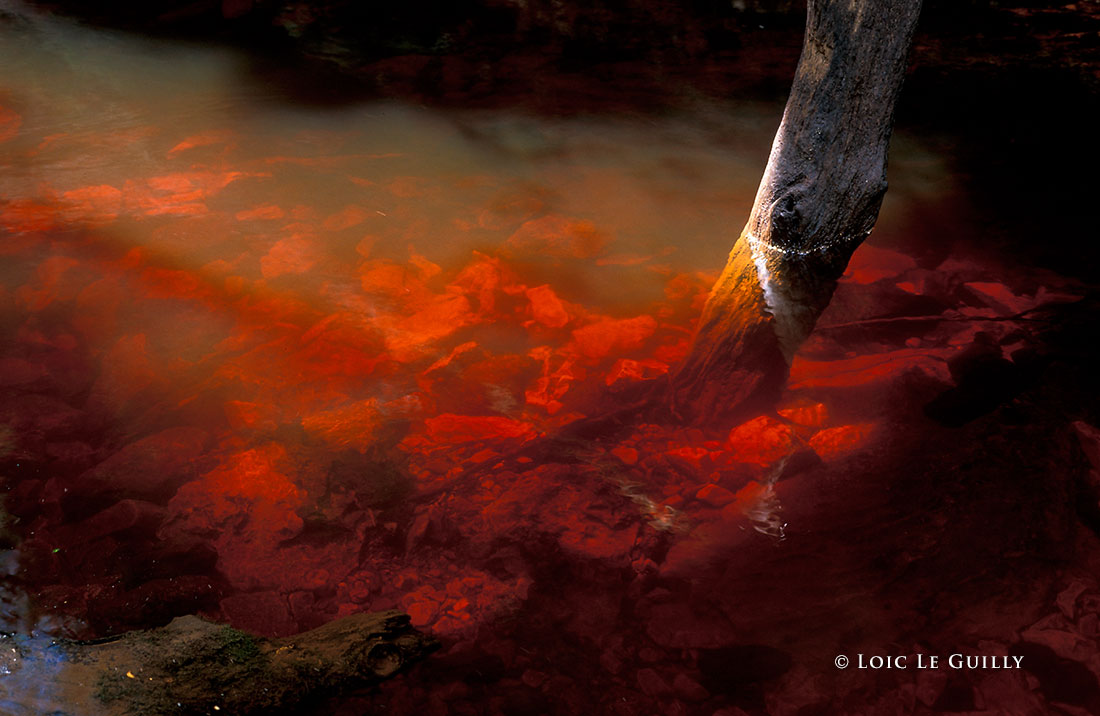 photograph of Tannin water in the Tarkine