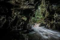 Julius River entering a cave in the Tarkine.