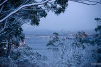 Hobart woke up to a good covering of snow on August 03, 2015. Most schools and many roads were closed. The excitement was palpable as young and old made the most of it with snow men, giant snow balls and of course snow fights !