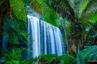 Russell Falls in Mt Field national park is Tasmania's most visited waterfall. It is very accessible after a short walk in stunning rainforest from the visitor centre.