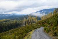 The Styx contains both protected reserves and areas set aside for logging.