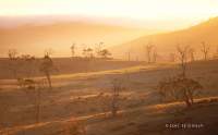 This is a shot I took in 1996 in my first trip to Tasmania. We were driving to Ben Lomond very early and the sunrise was just stunning.