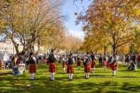 Bagpipe band at the Salamanca Market