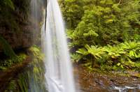 The most famous waterfall in Tasmania. Situated in Mount Field, a gorgeous national park only 1 hours drive from Hobart.