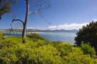 what a gorgeous spot on the East Coast of Tasmania