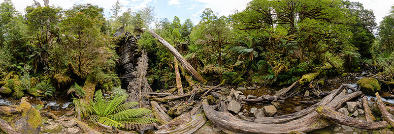 360 panorama of Growling Swallet, Mt Field