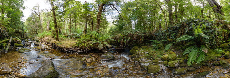 360 panorama of Upstream from the Growling Swallet, Mt Field