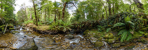 360 panorama of Upstream from the Growling Swallet, Mt Field