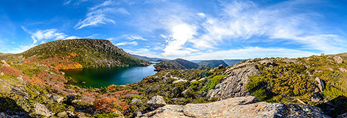 360 panorama of Fagus on the Tarn Shelf, Mount Field