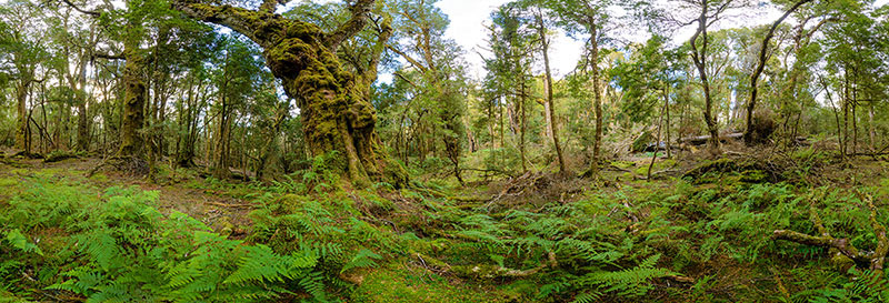 360 panorama of Vale of Belvoir