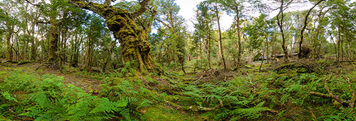 360 panorama of Vale of Belvoir